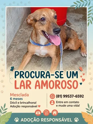 Doação 