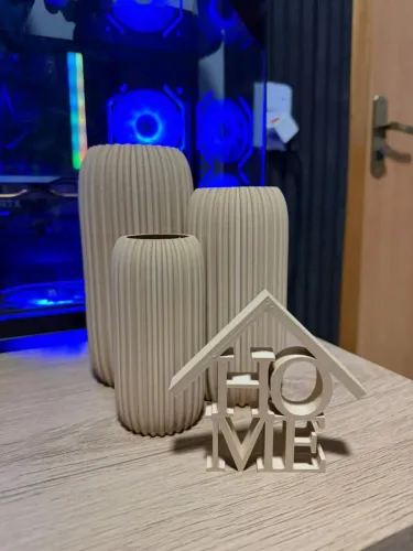 Kit Vasos Decorativos 3D