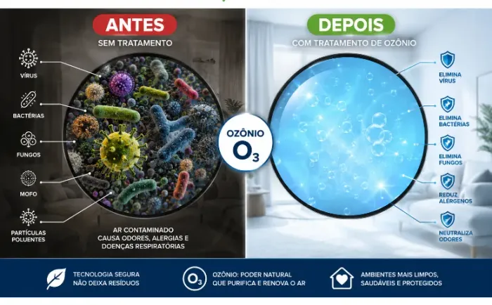 Descontaminante Retira Odores Odor Cheiro Cigarro Mofo Bactérias Ambiente