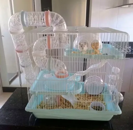 Gaiola para hamster