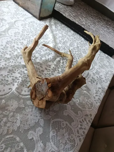 Vendo tronco para aquario