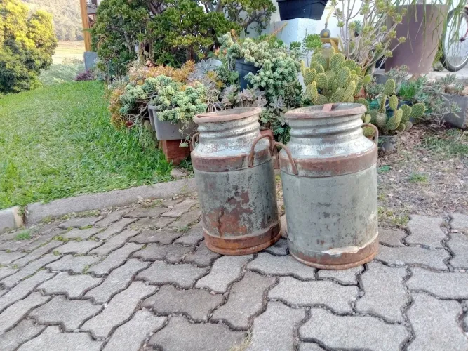 Antigos Tarros de Leite Decoração Ambientes Retrô Country 