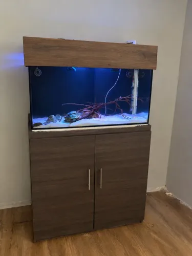 Aquário com móvel 200L