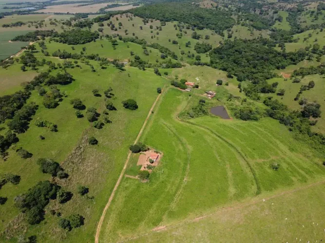 Fazenda 32 alqueires Itapaci GO