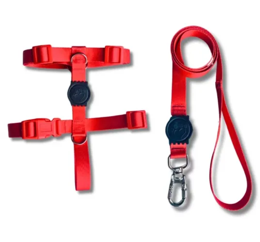 Peiteira tamanho (P) para pets de pequeno porte