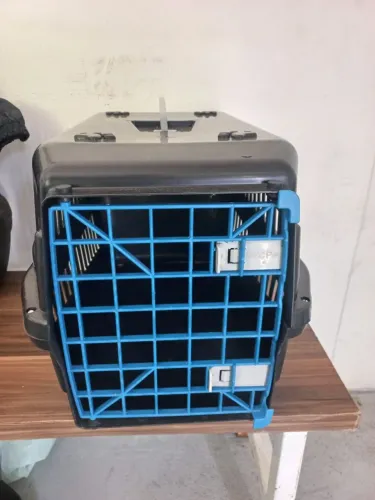 Transporte de animais
