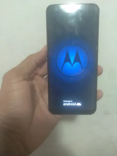 Celular Motorola g31