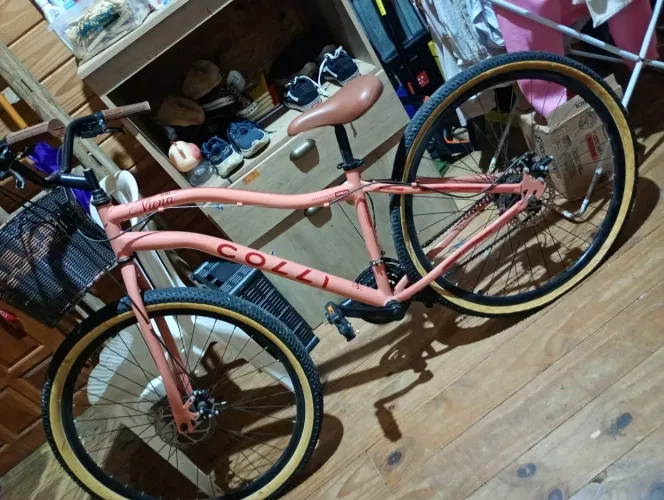 Bicicleta