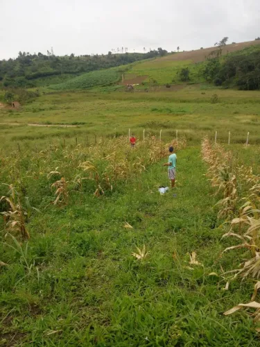 Terreno medindo 20x50mt. Zonal Rural de Paudalho PE