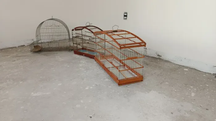 Acessórios para pets
