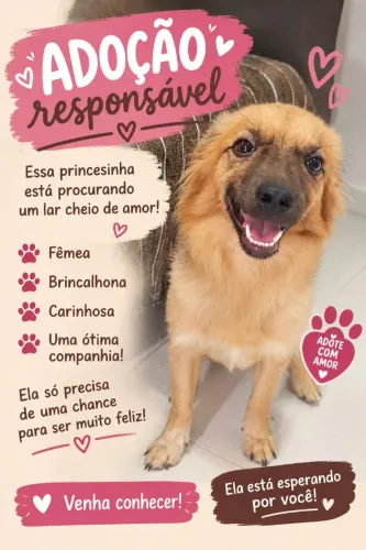 Adoção responsável 