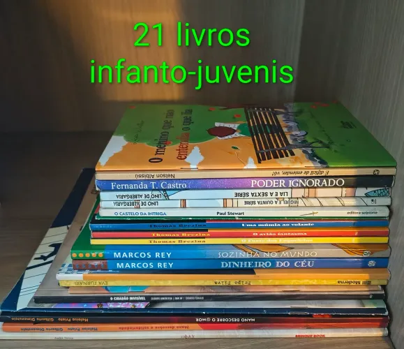 Lote de livros ACEITO TROCAS