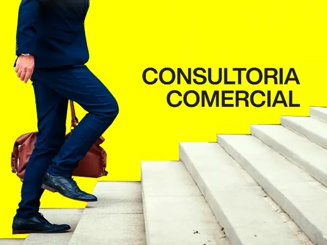 CONSULTORIA COMERCIAL PEQUENAS E MÉDIAS EMPRESAS