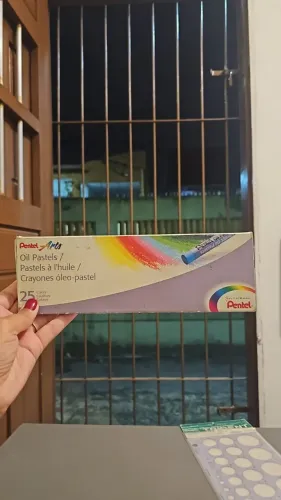 Giz pastel pentel (incompleto) 25 cores