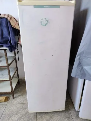 Freezer vertical