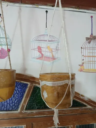 Vasos  para plantas
