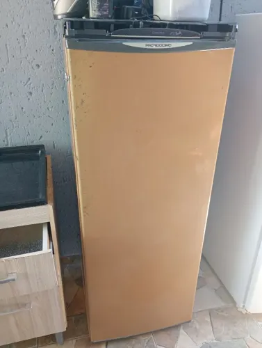 Freezer vertical