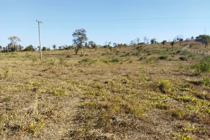 Excelentes terrenos em Matozinhos. Parcelas de 2515,00. Fazendinhas de 20.000 metros quadr