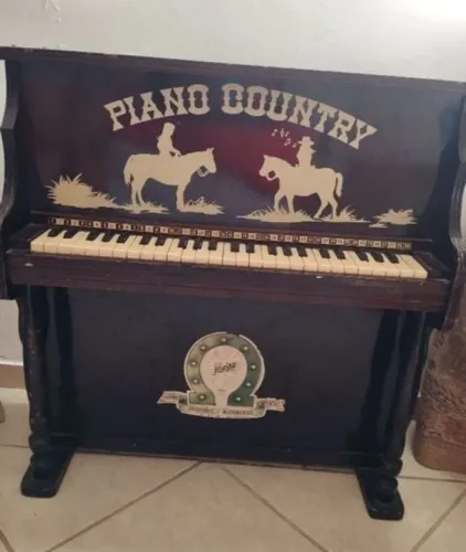 Piano infantil country Hering