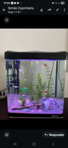 Aquário Boyu