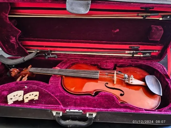 Viola Eagle VA150