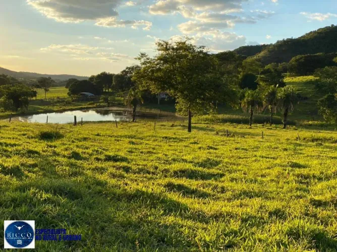 FAZENDA À VENDA EM JARAGUÁ/GO 32 ALQUEIRES