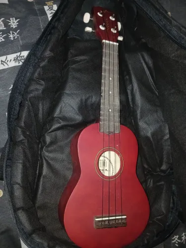 Ukulele Vogga