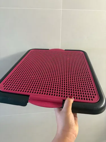 Tapete higiênico para pets