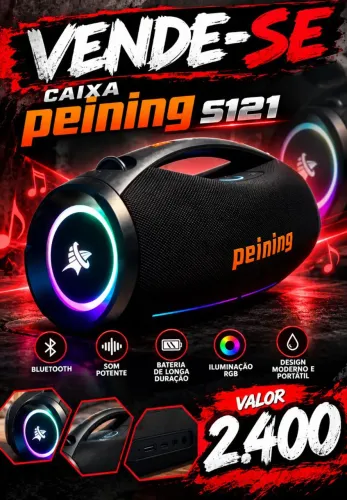 Caixa peining s121
