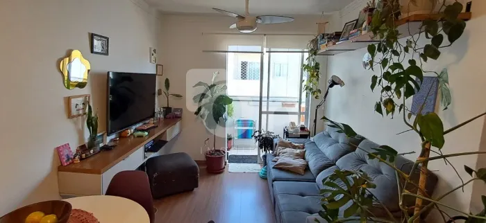 Apartamento de 2 dormitórios em Canasvieiras
