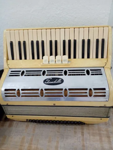 Afinação e manutenção de acordeon,sanfona serviço de qualidade orçamento gratuito