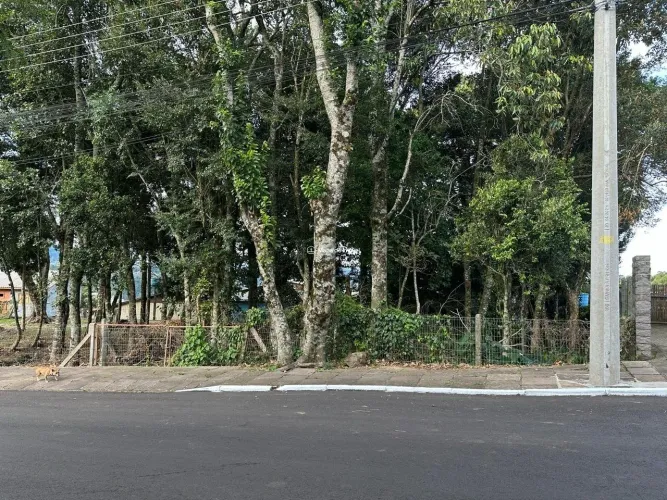 Terreno em Gramado