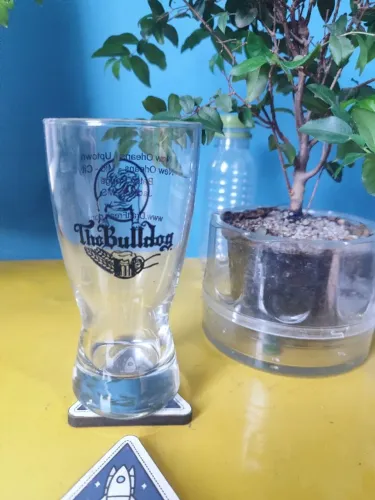 Copo cerveja PUB Bulldog de Louisiana New Orleans Tulipa