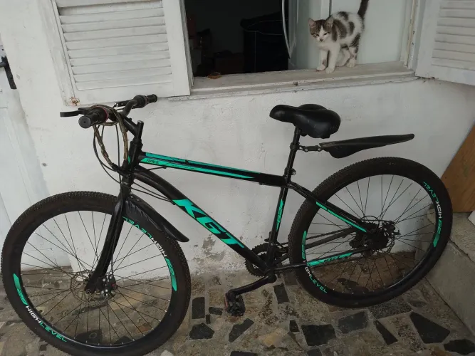 Bicicleta adulto 