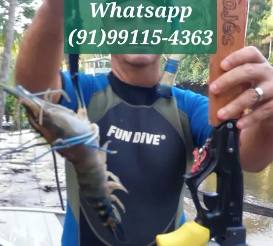 Curso de Mergulho e Pesca em Belém