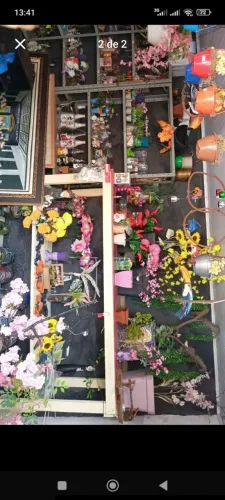 Atezanatos FLORES CULTURAS