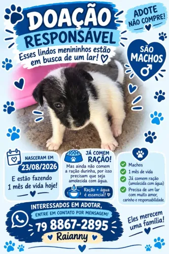 !!!DOAÇÃO!!!