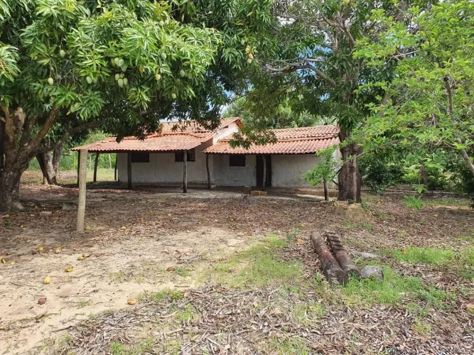 Fazenda Goiás Colinas do Sul 
