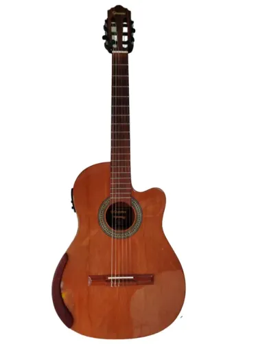 Violão Giannini Performance Pro Customizado