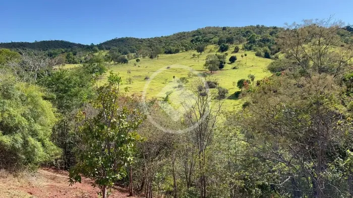 Fazenda 65 Alqueires  Município de Faina, Goiás. codigo: 161414