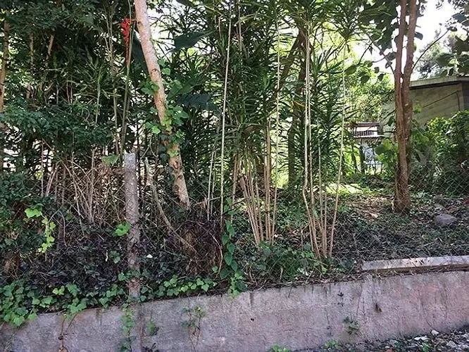 Terreno à venda, 1000 m² por R$ 450.000,00 - Granja Viana - Cotia/SP