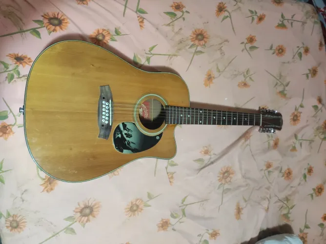 Violão 12 cordas eletrico