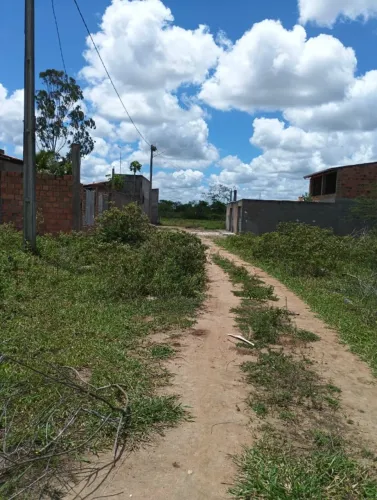 7x21 (147mt quadrado)