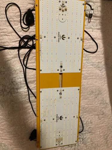 Quantum board pro-mid chip da Samsung 240w