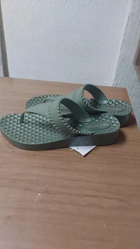 Rasteirinha Terra e água