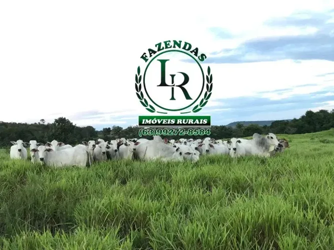 Fazenda 240 alqueires (1.162 Hectares)Tocantins