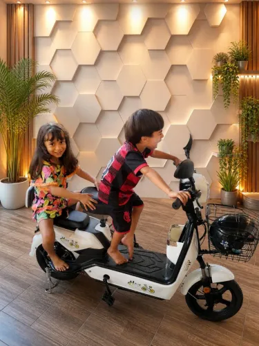 Bicicleta eletrica 800wats Fone: *66