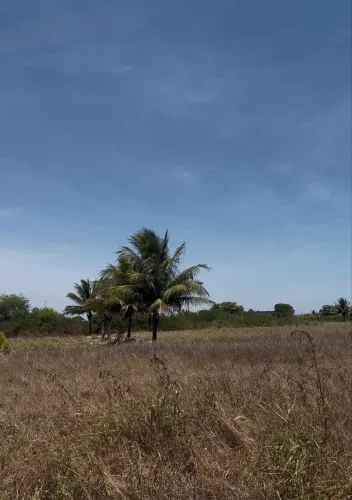 Terreno à Venda - Ótima Localização!