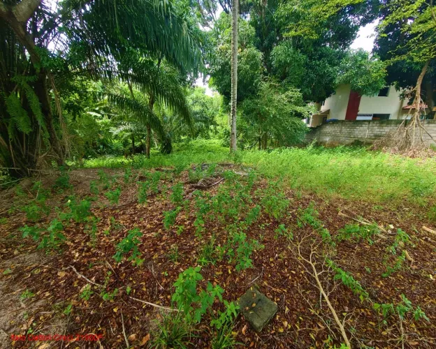 Excelente terreno plano, 1.660,00 m², oportunidade, Busca Vida, Camaçari, BA.