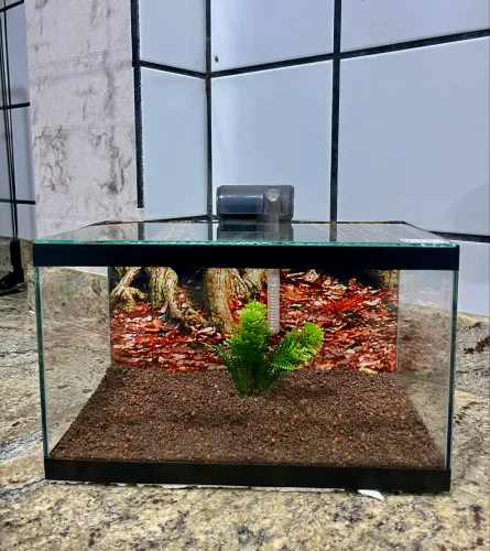 AQUÁRIO 10 LITROS- COMPLETO 